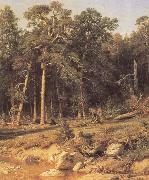 Ivan Shishkin A Pine Forest Mast-Timber forest in Viatka Province oil painting picture wholesale
